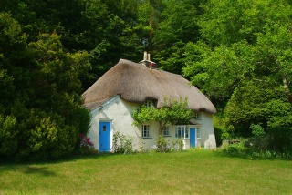 Holiday Cottage Reviews for Lew Quarry Cottage - Holiday Cottage in Devon's River Country, Devon