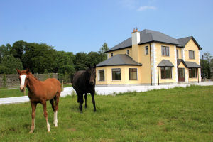Holiday Cottage Reviews for FAULKNER - Self Catering in Virginia, Cavan