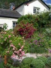 Holiday Cottage Reviews for Ringmore House Cottage - Holiday Cottage in Teignmouth, Devon