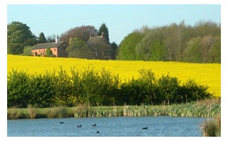 Holiday Cottage Reviews for Old Barn Cottages - Holiday Cottage in Horncastle, Lincolnshire