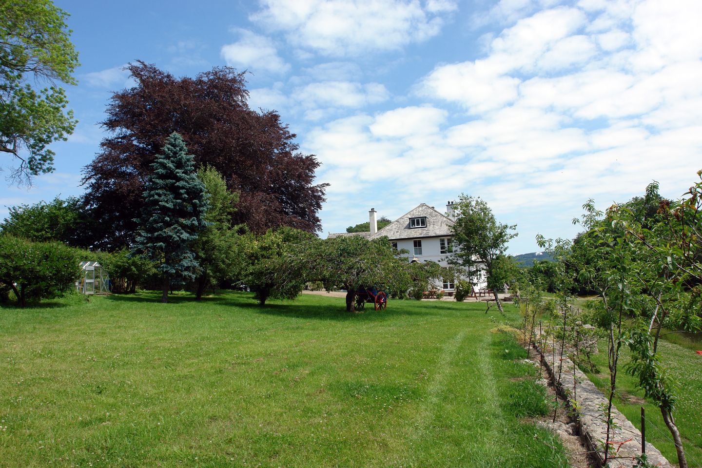 Holiday Cottage Reviews for Beechlands - Holiday Cottage in Chagford, Devon