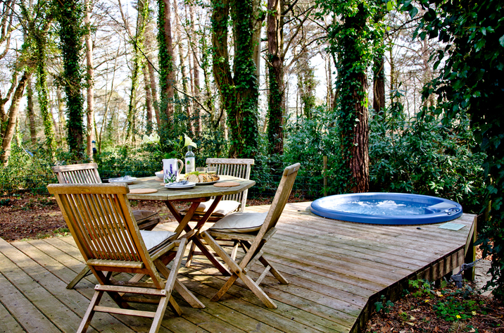 Holiday Cottage Reviews for Hunters Lodge, 2 Indio Lake - Holiday Cottage in Bovey Tracey, Devon