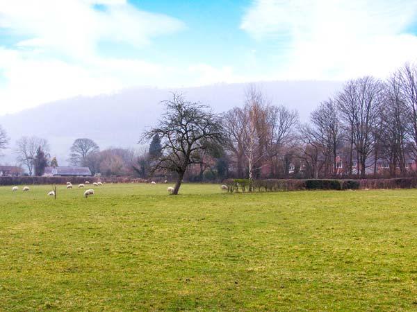 Holiday Cottage Reviews for 14B Canal Wharf - Holiday Cottage in Ripon, North Yorkshire