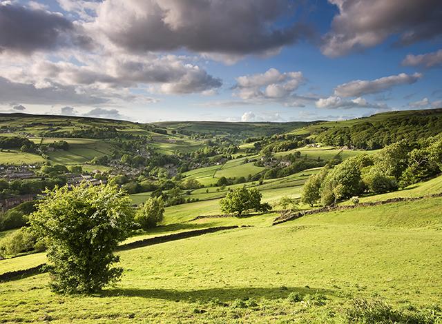 Holiday Cottage Reviews for Westfield Cottage - Self Catering Property in Teesdale, Durham