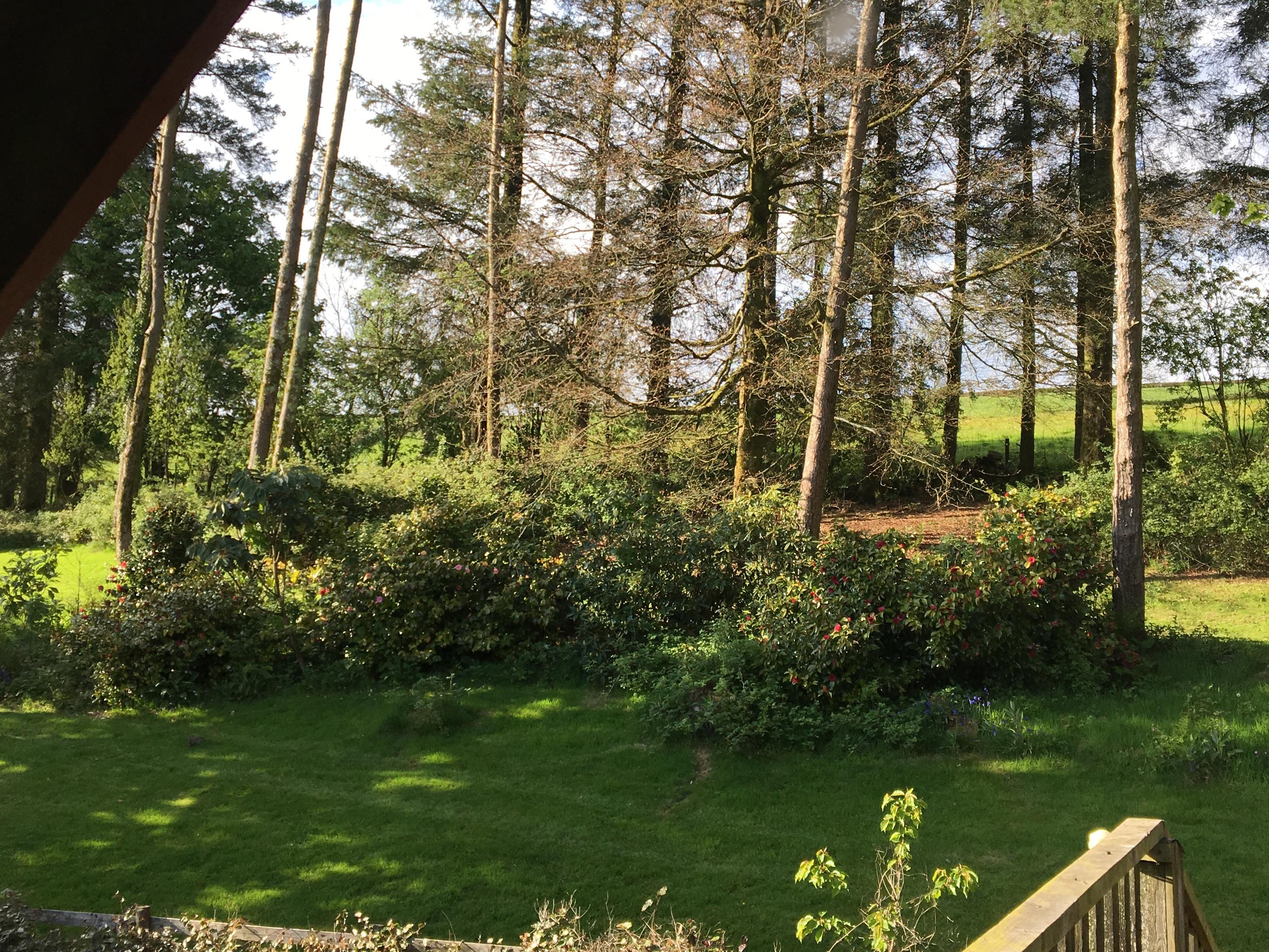 Holiday Cottage Reviews for Woodpecker Loft - Holiday Cottage in East Anstey, Devon