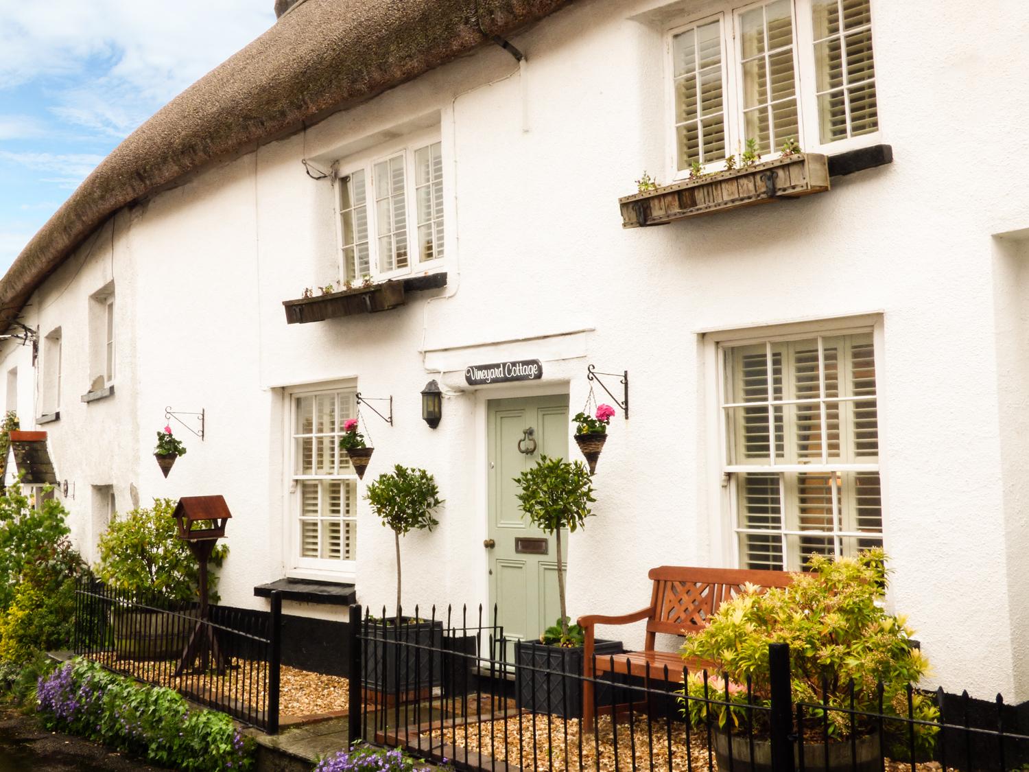 Holiday Cottage Reviews for Vineyard Cottage - Self Catering in Winkleigh, Devon