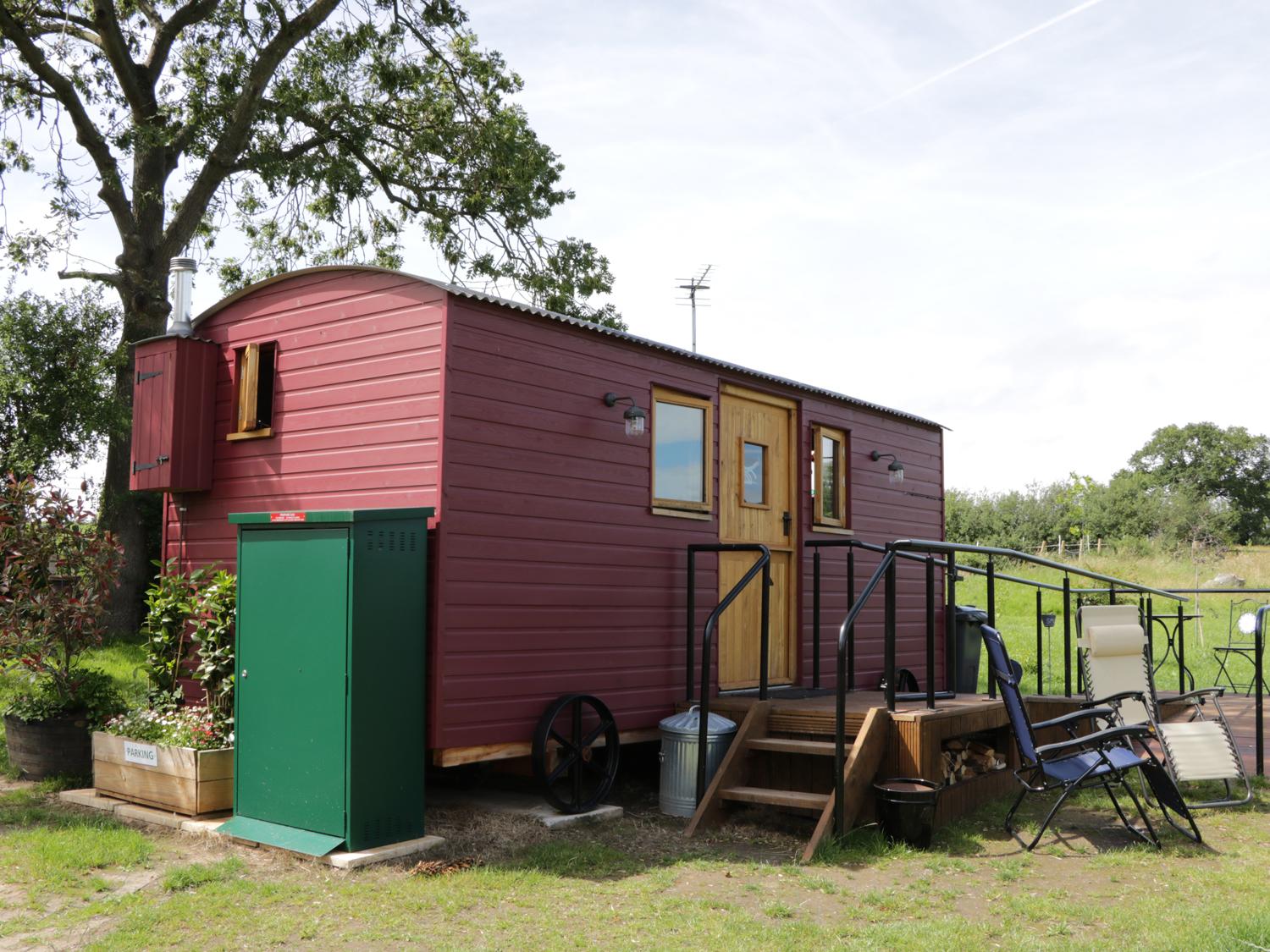 Holiday Cottage Reviews for The Shire Hut - Holiday Cottage in St Asaph, Denbighshire