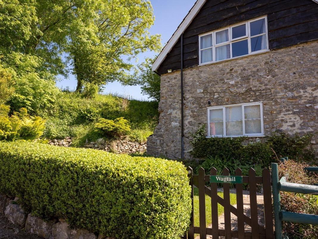 Holiday Cottage Reviews for Wagtail Cottage - Holiday Cottage in Membury, Devon