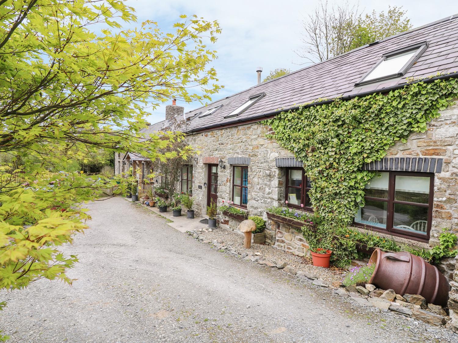 Holiday Cottage Reviews for Kite Cottage - Cottage Holiday in Llandysul, Ceredigion