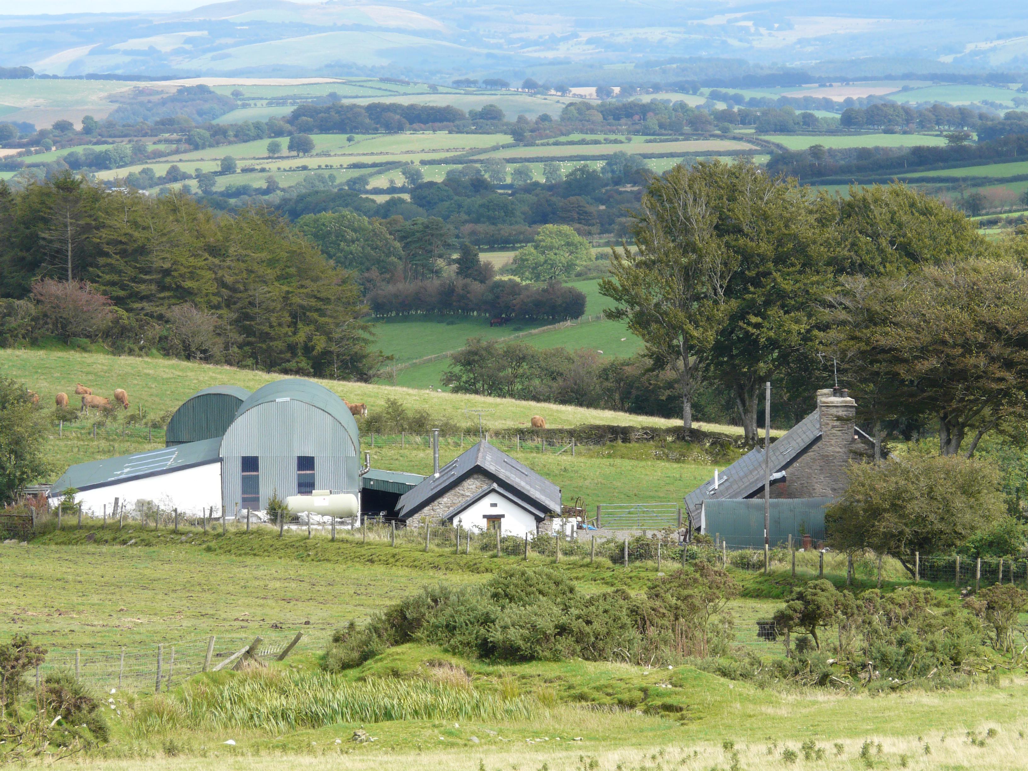 Holiday Cottage Reviews for Yr Hen Beudy - Holiday Cottage in New Quay, Ceredigion