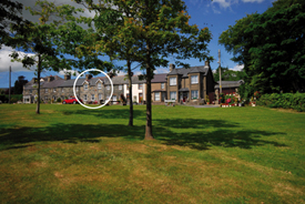 Arfryn