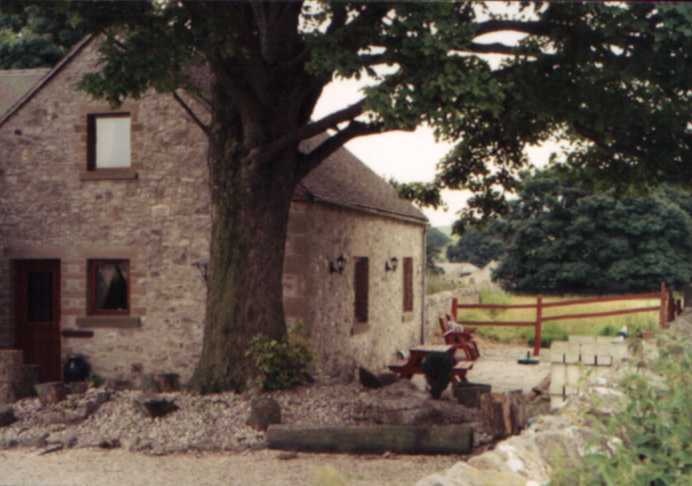 The Dairy