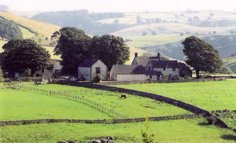 Dale View