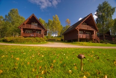 3 star Woodland Lodges