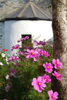 Yarde Farm