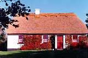 PUCKANE (RENT AN IRISH COTTAGE)