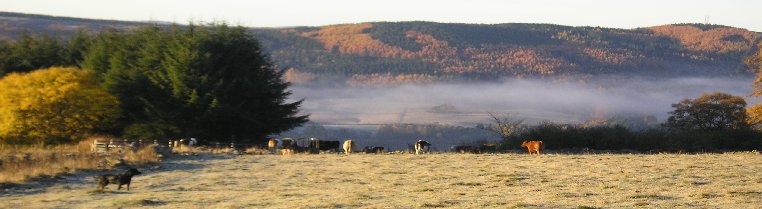 Kinnaird Woodland Lodges