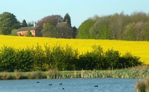 Old Barn Cottages