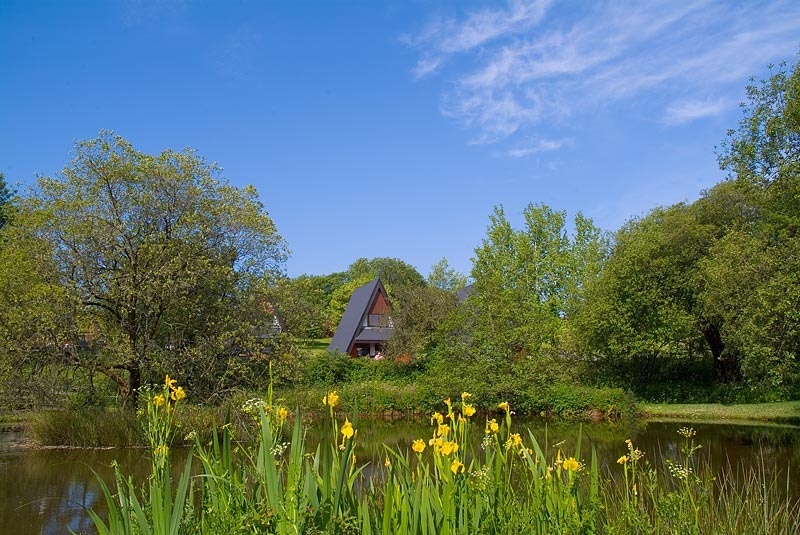 Forda Lodges & Cottages