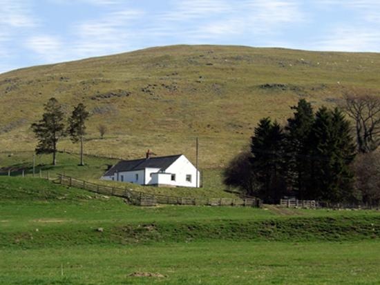 The School House