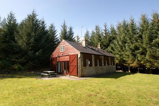 The Sawmill