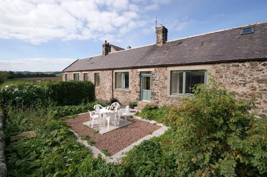 Teddy's Cottage