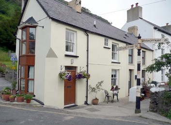 Llangrannog Cottage