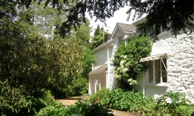 The Grove