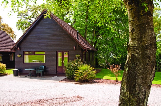 Alpine Park Cottages