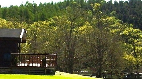 Loch Lomond lodge