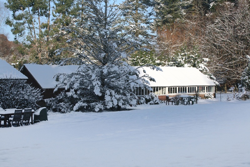 Vine Cottage, New Forest