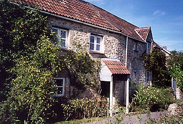Dolphin Cottage