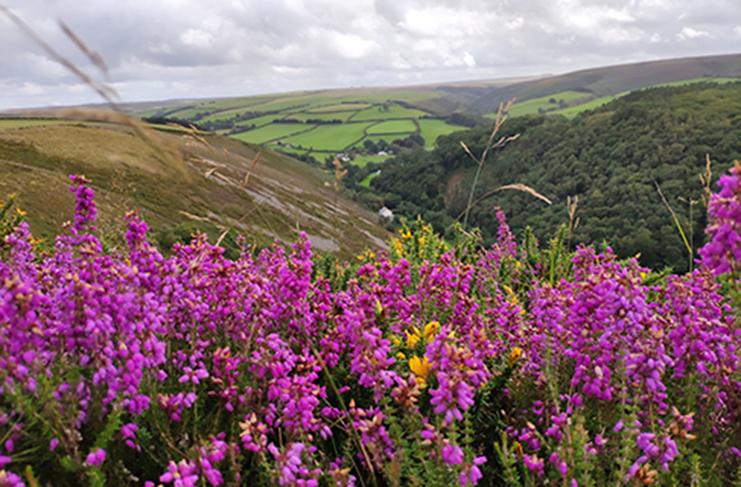 Stunning view of Exmoor