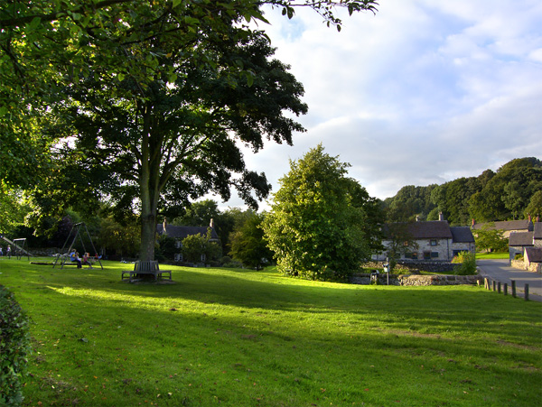 Orchard View