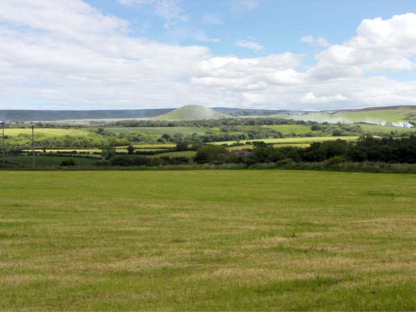 The Calf House