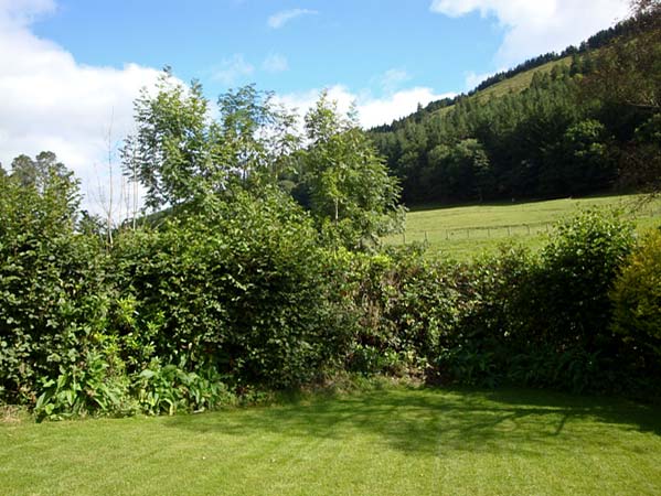 Dafarn Newydd