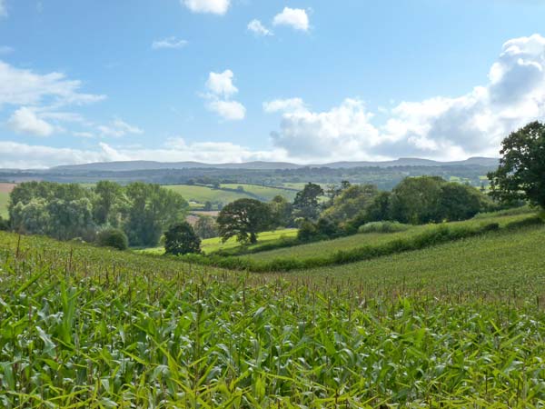 Waterbridge Lodge