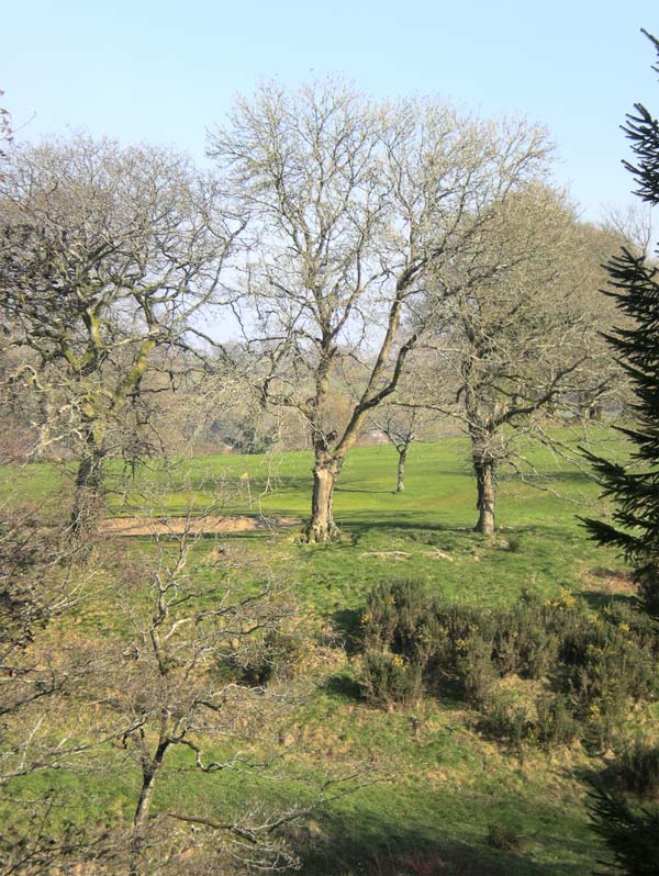 Firs Lodge