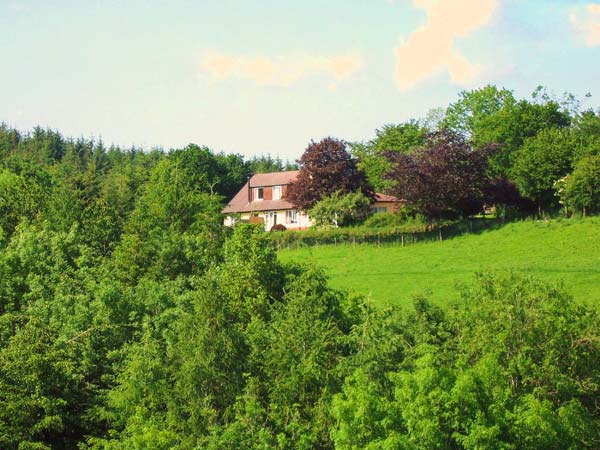 Woodland Hideaway