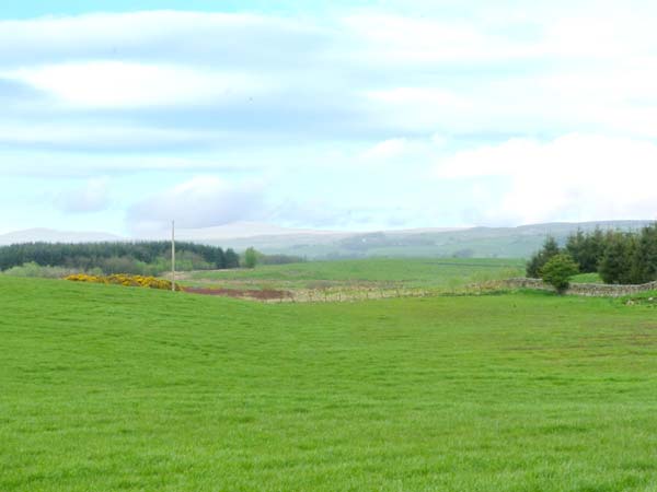 Gamepark Wood