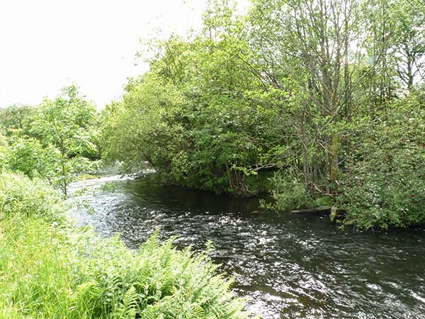 Riverview