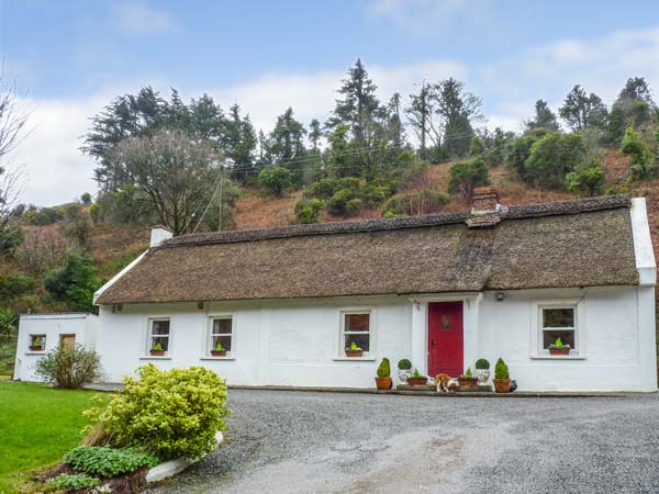 The Thatch