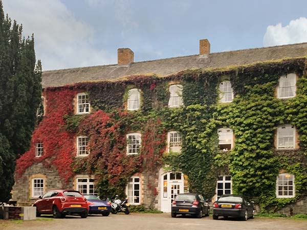 The Mews